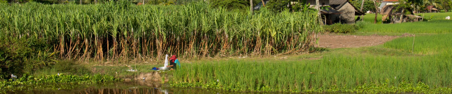 battambang-cambodge